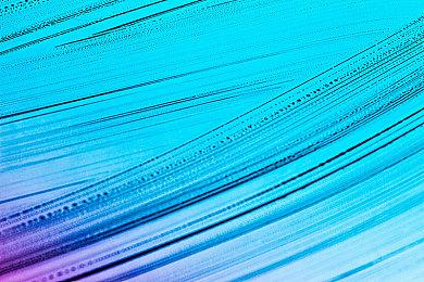 《吸血鬼幸存者》DLC“佛斯卡里之潮”上市宣传片赏